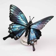 Kit de fabrication 1 Papillon Bleu Noir 18 cm Mountain Butterfly Assembli