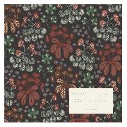 Calendrier mural 2026 Mr and Mrs Clynk 12 illustrations Sports 30X30 cm Blue Art Editions