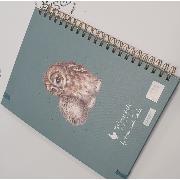 Carnet à spirales Trois Chouettes 21x30 200p  ligné Wrendale