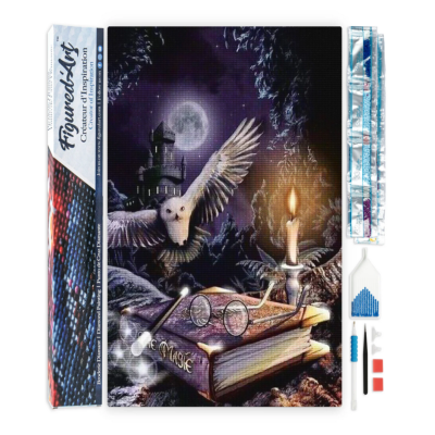 Broderie Diamant Chouette dans la nuit Toile complète roulée 40x50 Diamants carrés Figure d'Art