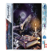 Broderie Diamant Chouette dans la nuit Toile complète roulée 40x50 Diamants carrés Figure d'Art