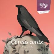 Kit de pliage Prédécoupé Corbeau Noir 20 cm Oiseau en Papier 3D Plego