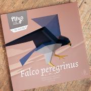 Kit de pliage Prédécoupé Faucon Pèlerin 38 cm Oiseau en Papier 3D Plego