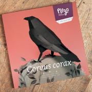 Kit de pliage Prédécoupé Corbeau Noir 20 cm Oiseau en Papier 3D Plego