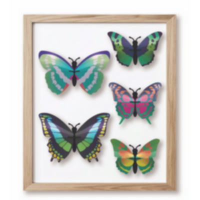 Kit de fabrication 5 Papillons Collection Butterfly Vert Beetle Assembli