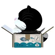 Mini-maquette Eugy Chat Tuxedo dans Boite 7.4 cm à construire en Carton 3D