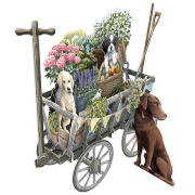 Carte 3D Chiens Chariot en Bois 16x16 Décor en relief avec enveloppe