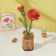 Maquette Bois Pot de Fleurs Oeillet Rouge Puzzle 3D de 124 pièces TW052 Rolife