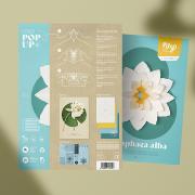 Kit Fleur Pop-up Nénuphar Blanc Papier prédécoupé A3 Plego