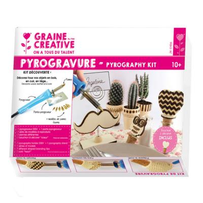 Pyrograveur 230V avec 7 pannes Kit complet Graine créative