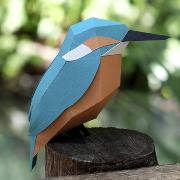 Kit de pliage Prédécoupé Martin-Pêcheur 13 cm Oiseau en Papier 3D Plego