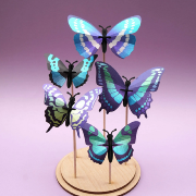 Kit de fabrication 5 Papillons Collection Butterfly Bleu Beetle Assembli