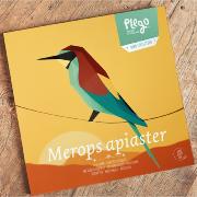 Kit de pliage Prédécoupé Guêpier d'Europe 13 cm Oiseau en Papier 3D Plego