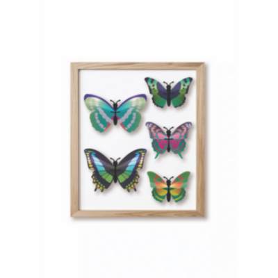 Kit de fabrication 5 Papillons Collection Butterfly Vert Beetle Assembli