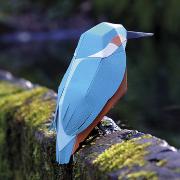 Kit de pliage Prédécoupé Martin-Pêcheur 13 cm Oiseau en Papier 3D Plego