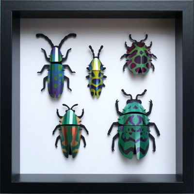 Kit de fabrication 5 Insectes Collection Scarabée Vert Beetle Assembli