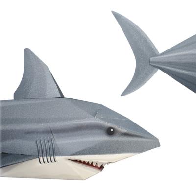 Kit Maquette Poisson Requin à Construire Tête et Queue