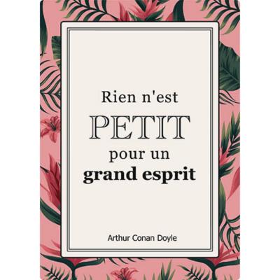 Carte postale Belles Citations Rien n'est Petit pour Grand Esprit 15x21 cm Kiub