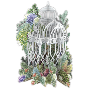 Carte 3D Cage Blanche et Fleurs exotiques 16x16 Décor en relief avec enveloppe