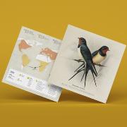 Kit de pliage Prédécoupé Hirondelle Rustique 27 cm Oiseau en Papier 3D Plego