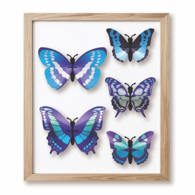 Kit de fabrication 5 Papillons Collection Butterfly Bleu Beetle Assembli