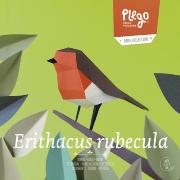 Kit de pliage Prédécoupé Rouge-Gorge 17.5 cm Oiseau en Papier 3D Plego