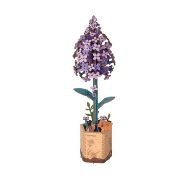 Maquette Bois Pot de Fleurs Lilas Violet Puzzle 3D de 154 pièces TW021 Rolife