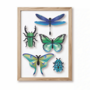 Kit de fabrication 5 Insectes Collection Mixte Vert Scarabées Papillons Assembli